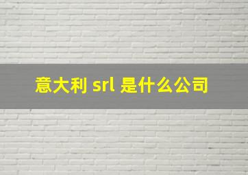 意大利 srl 是什么公司